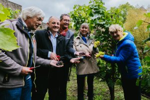 Vendanges au Klouschtergaart