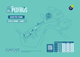 Pedibus Hamm - Ligne 1
