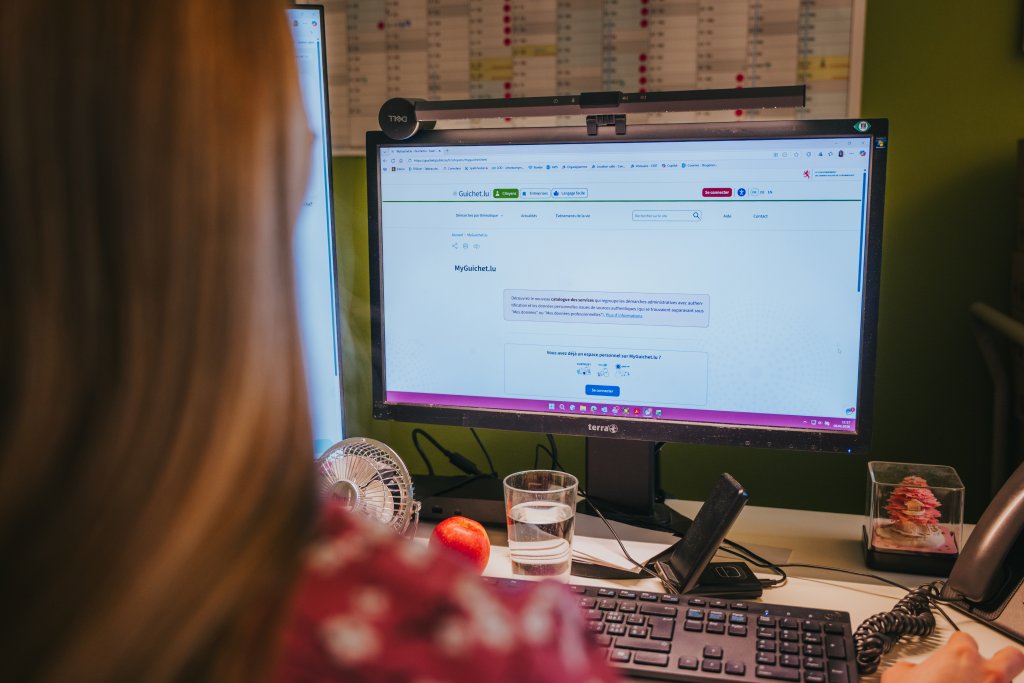 Image d'une personne qui consulte MyGuichet.lu