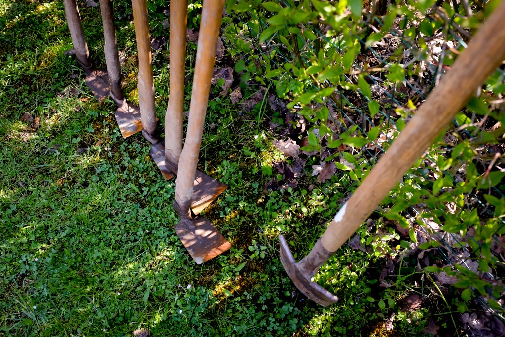 pioches dan un jardin