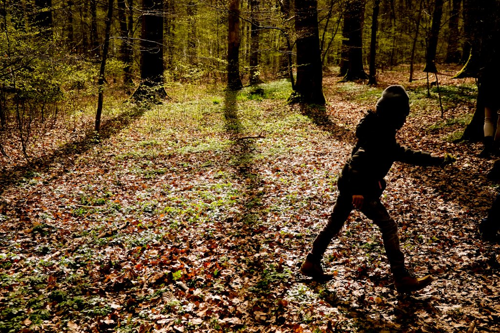 enfants jouant dans la forêt