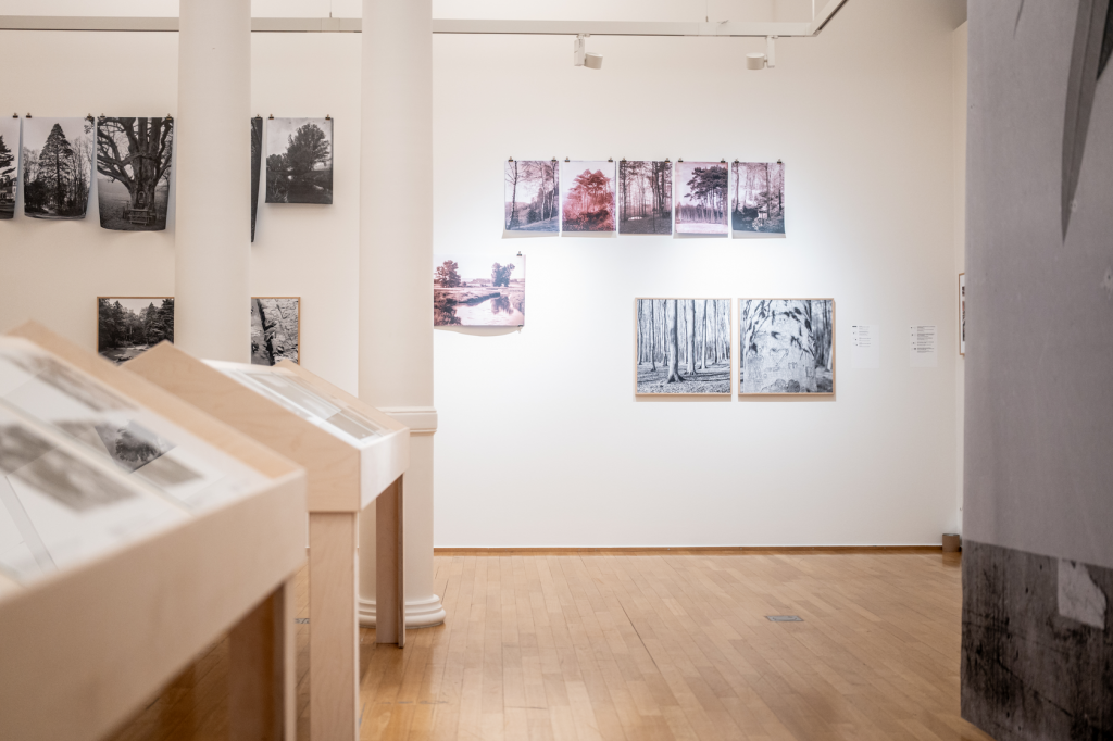 Image de l'intérieur de l'exposition de la photothèque au Cercle Cité