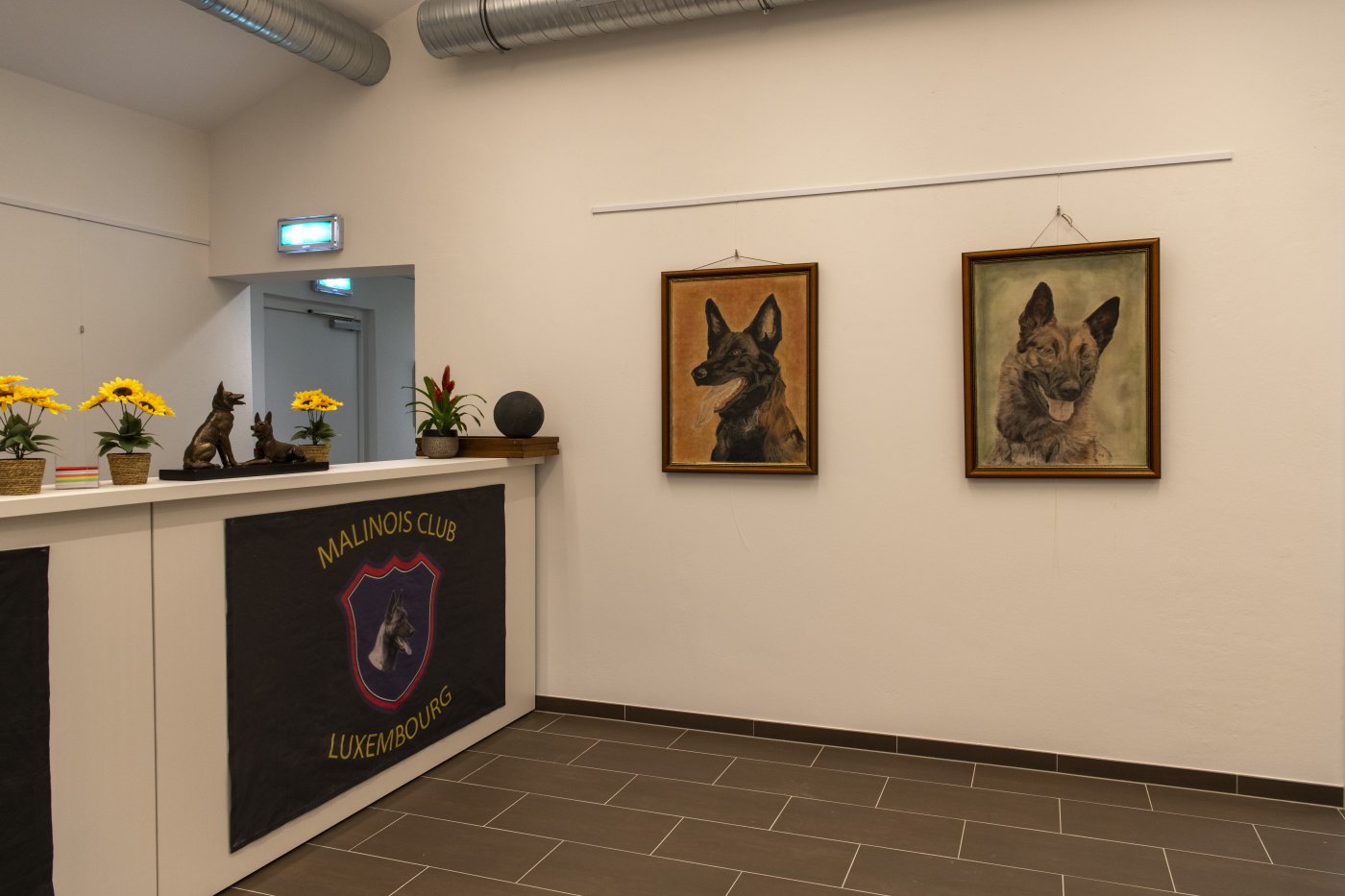 Chalet des Hondsfrënn Bouneweg rénové et modernisé