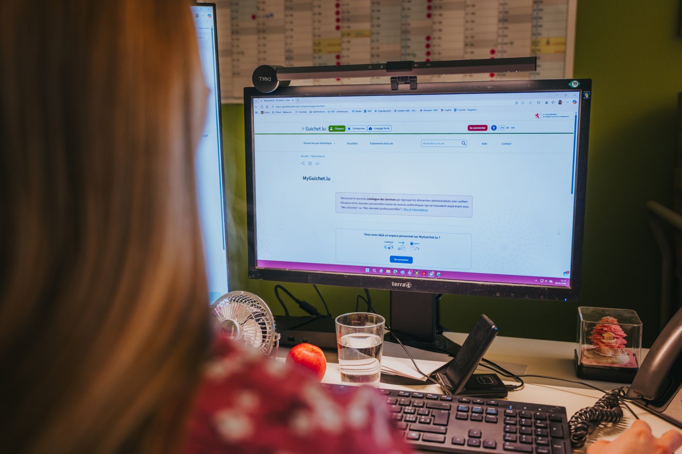 Image d'une personne qui consulte MyGuichet.lu