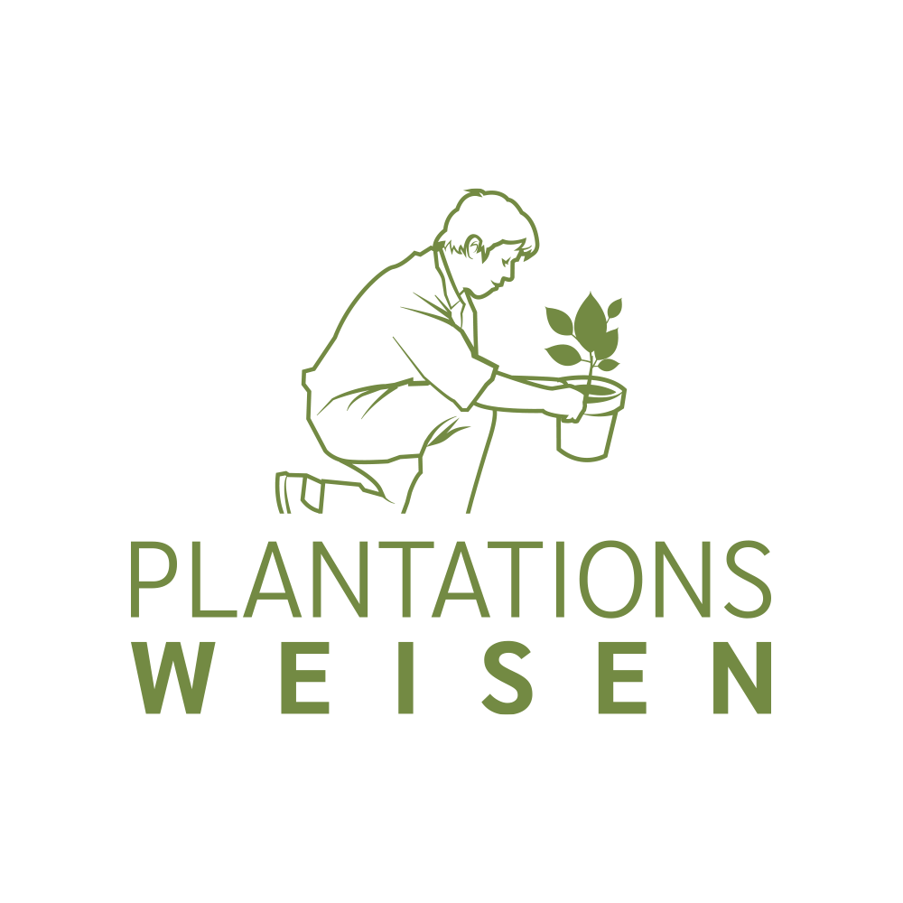 Plantations Weisen