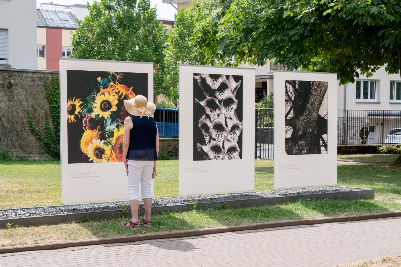 Exposition de Edward Steichen au Parc Merl