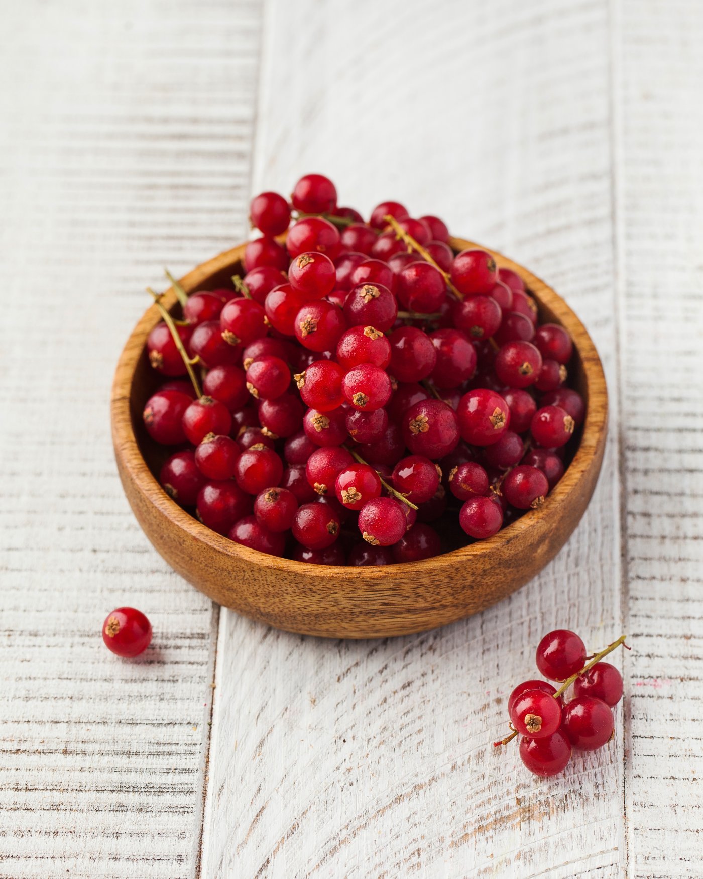 Le groseillier rouge