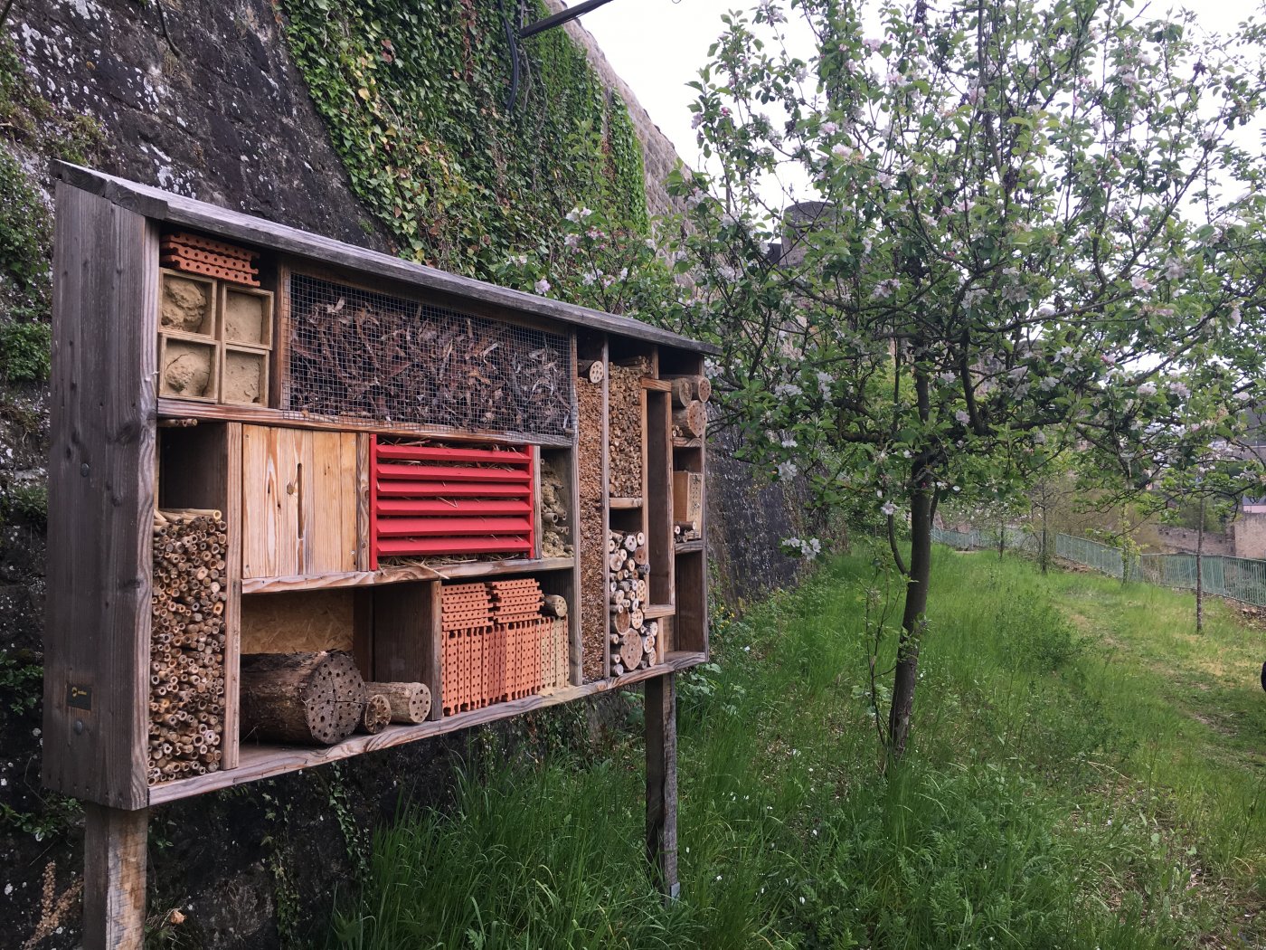 Hotel à insectes