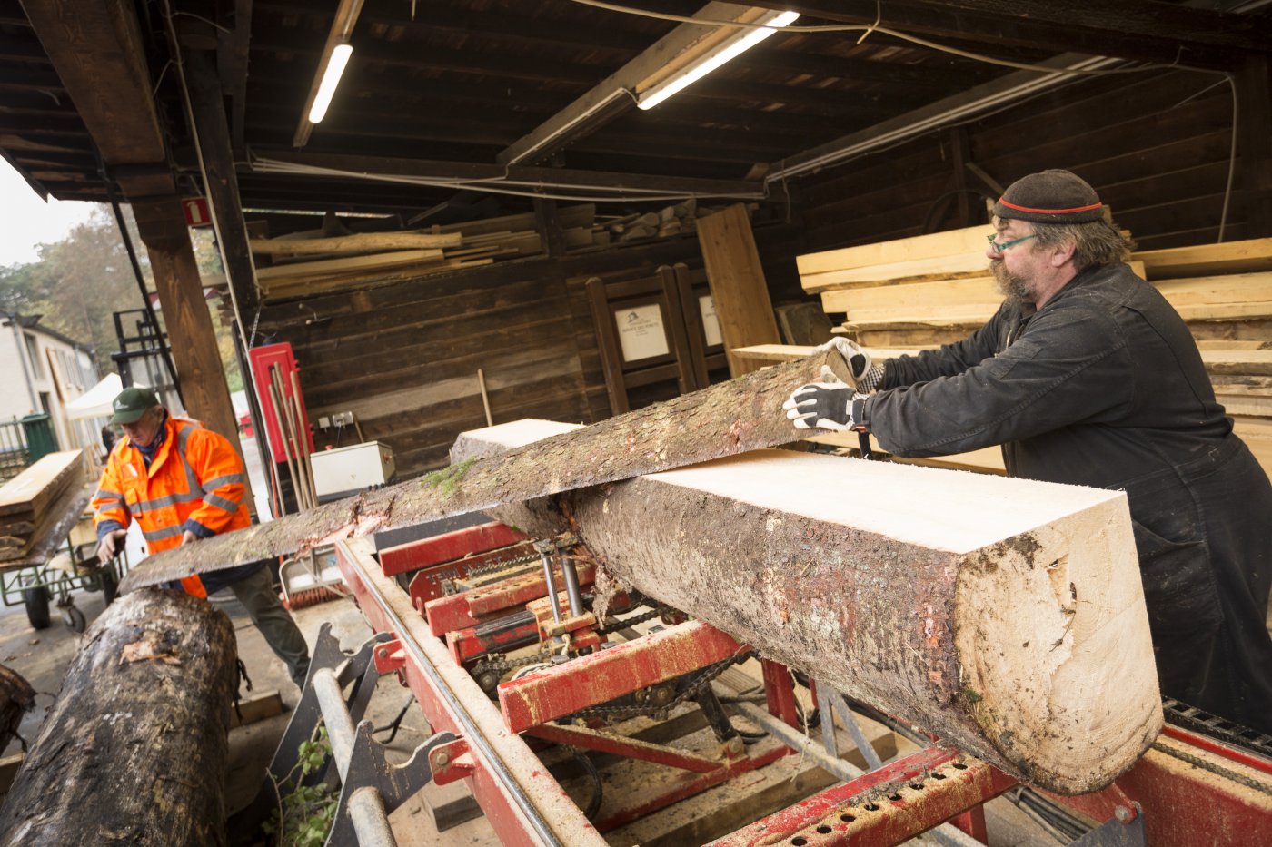 employés du service du patrimoine naturel sciant du bois