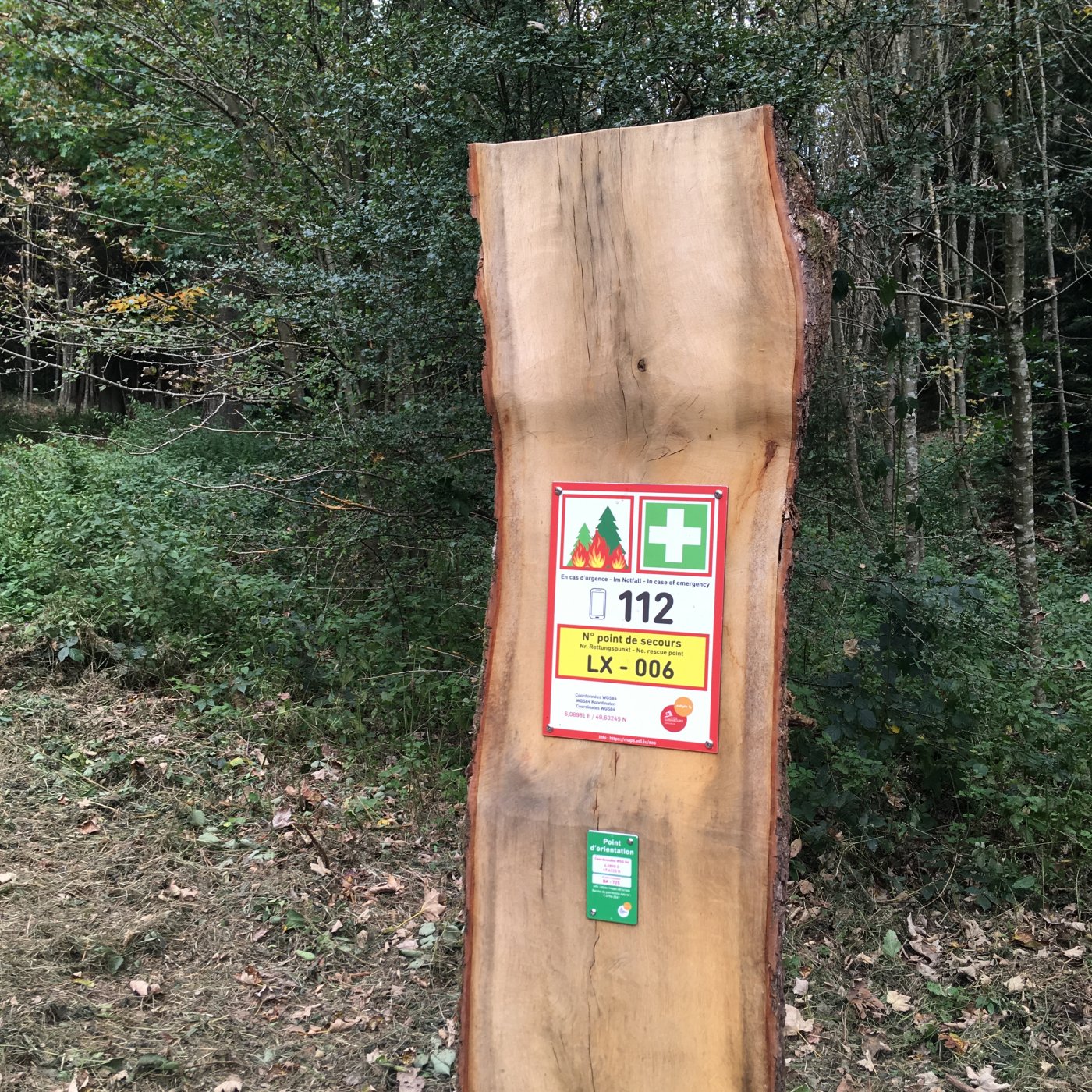 Point de secours et point d'orientation en forêt