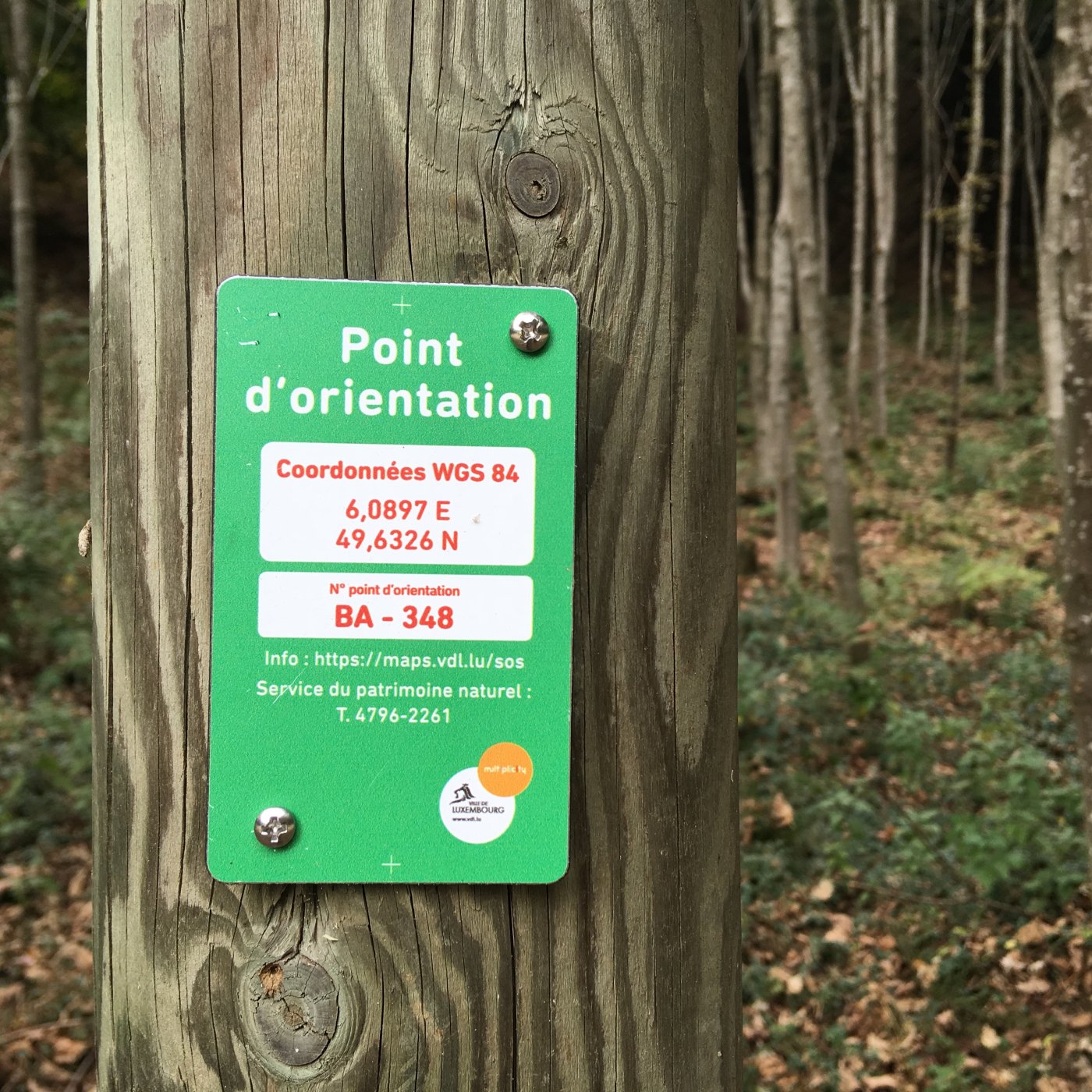 Point d'orientation en forêt