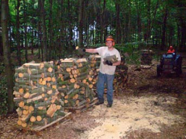 Bois en forêt