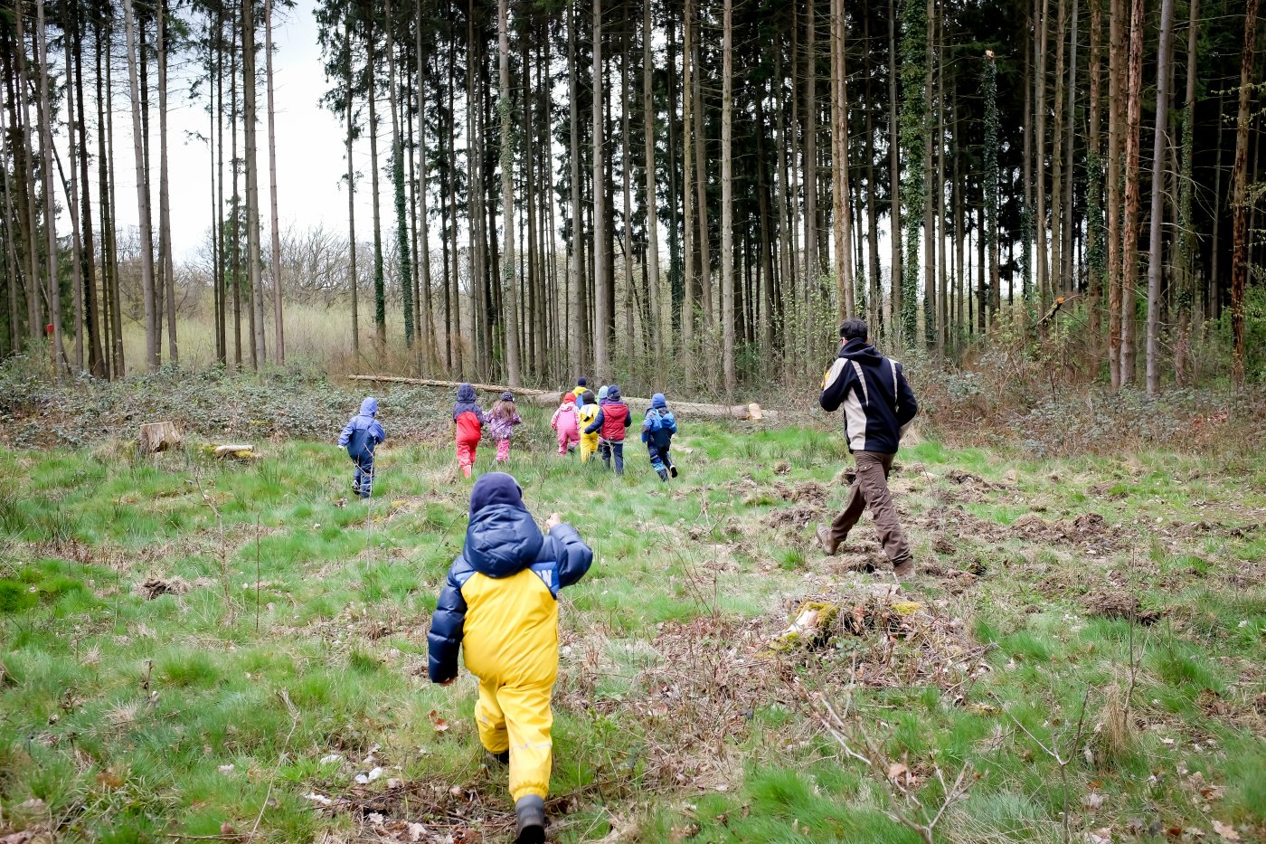 activités-nature _ enfants forêts