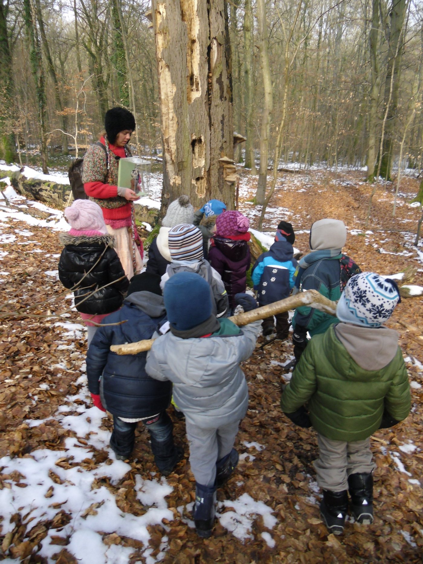 activités-nature _ enfants en forêt