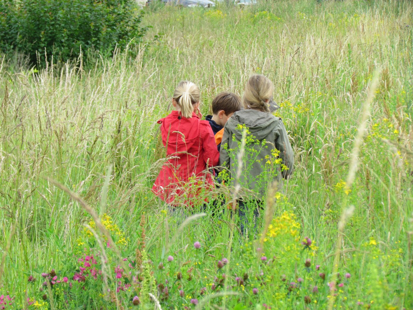 activités-nature _ enfants en forêt