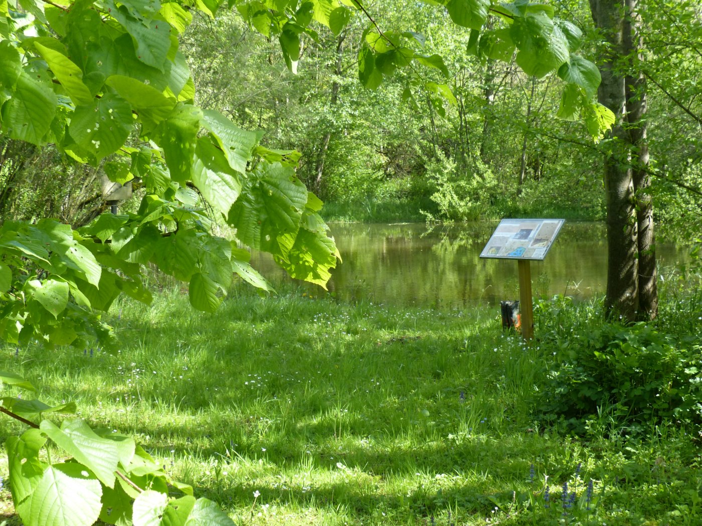 Le centre nature _ activités-nature