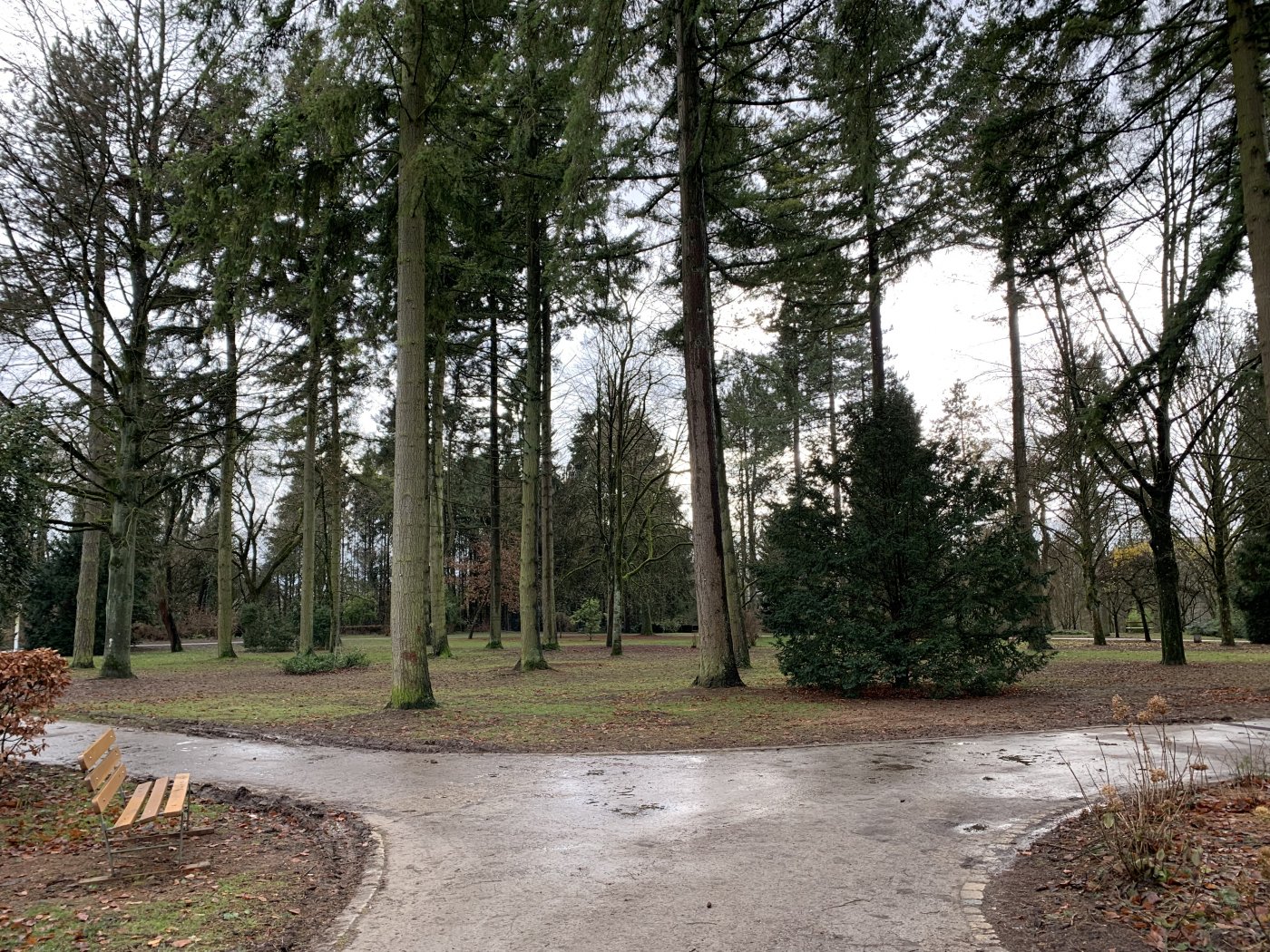 Limpertsberg - Parc Tony Neuman