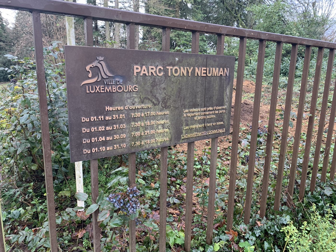 Limpertsberg - Parc Tony Neuman