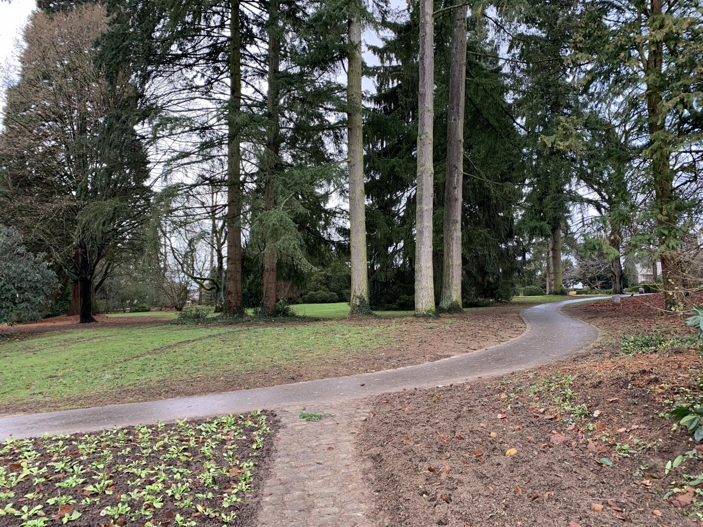 Limpertsberg - Parc Tony Neuman