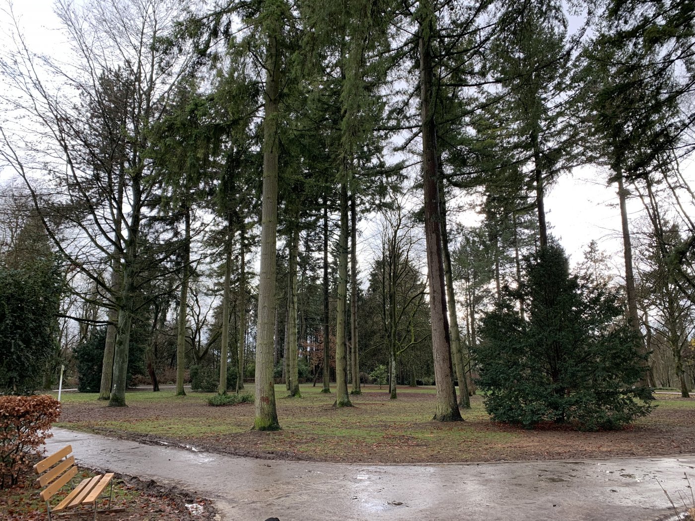 Limpertsberg - Parc Tony Neuman