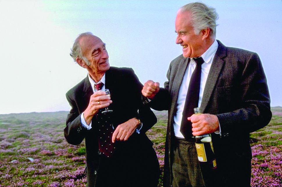 Waking Ned Devine
