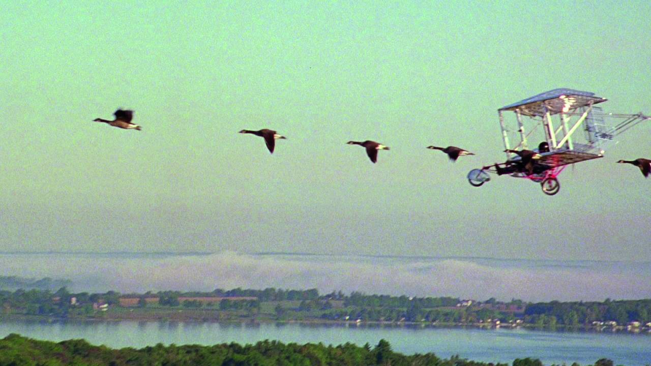 L'Envolée sauvage