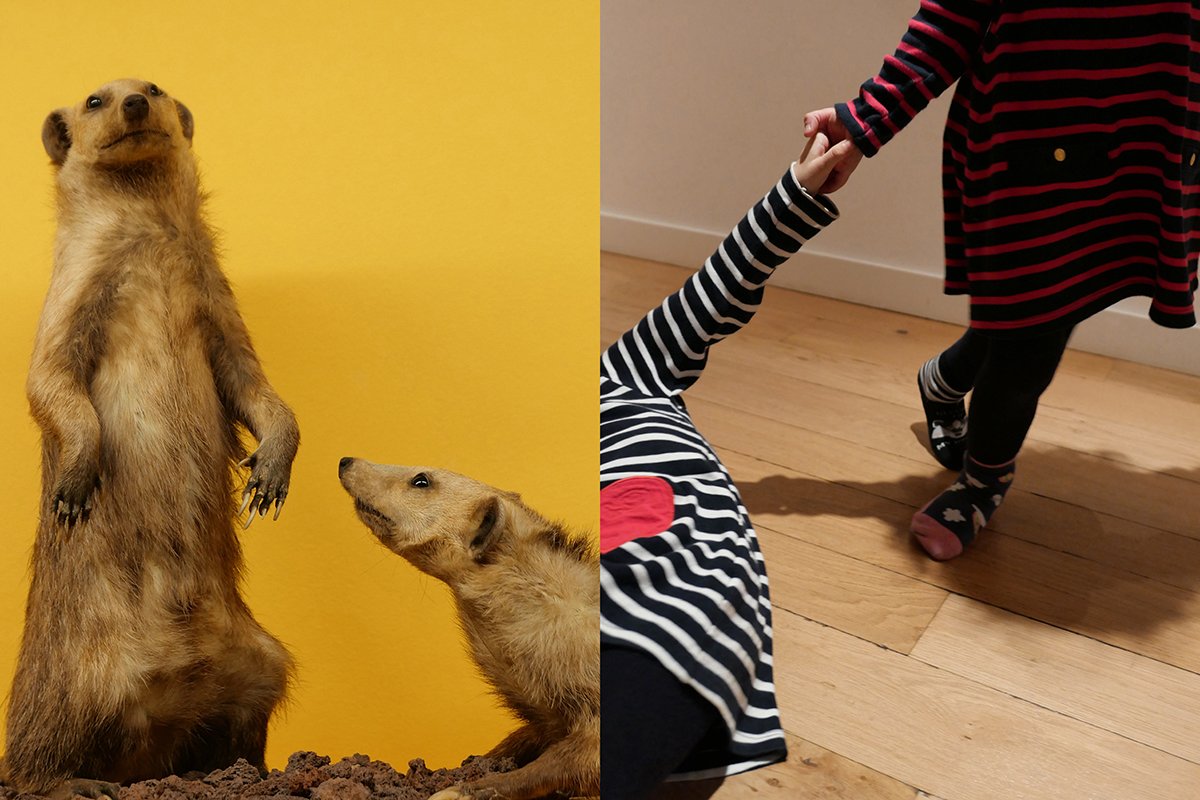 Instincts. Same but different