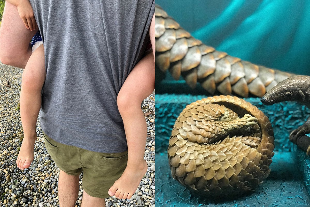 Instincts. Same but different