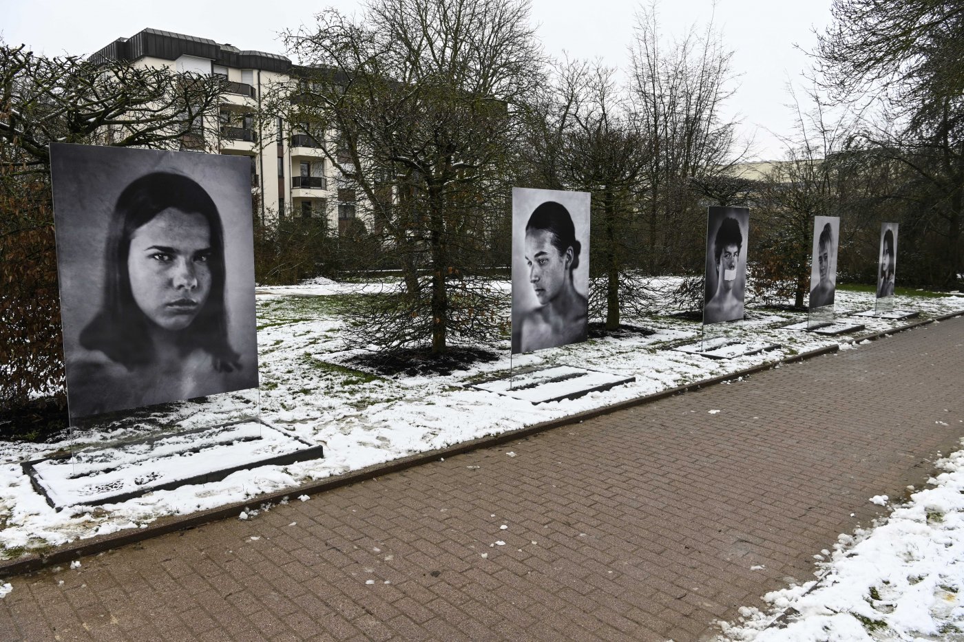 Exposition photographique « Transitions »