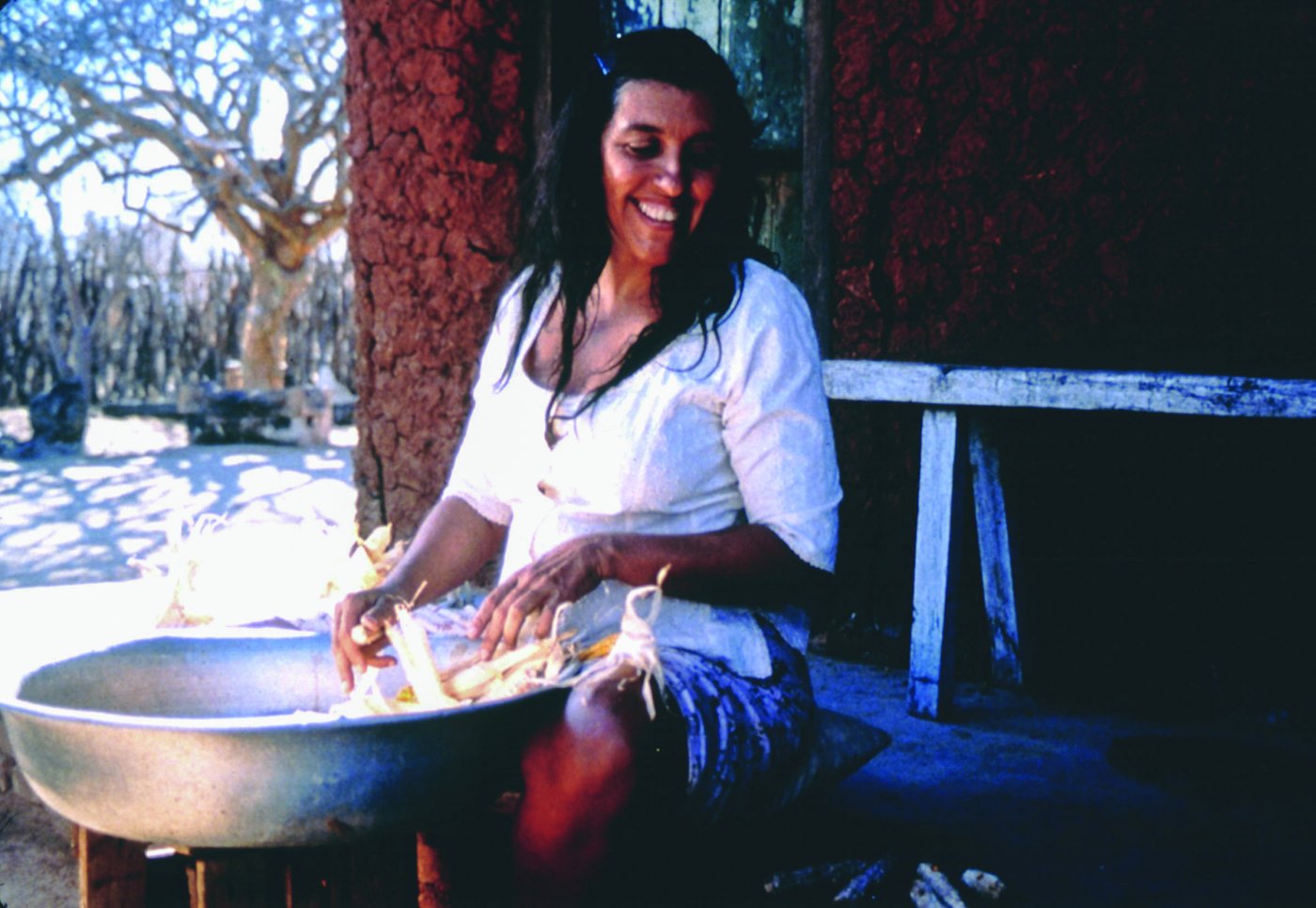 La Vie peu ordinaire de Dona Linhares