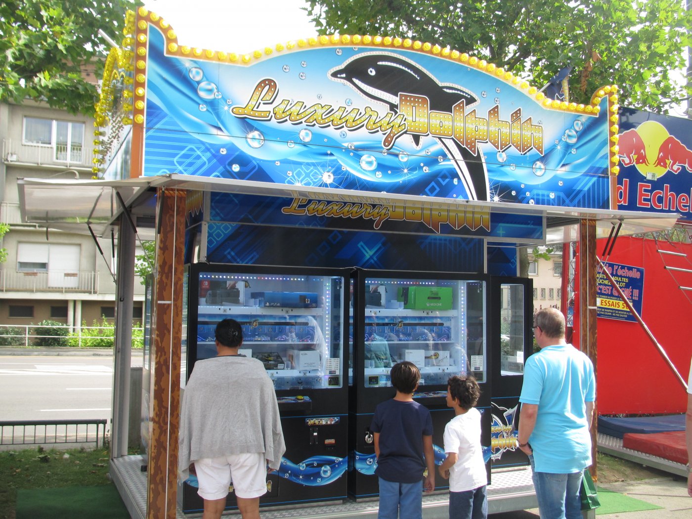 Dolphin