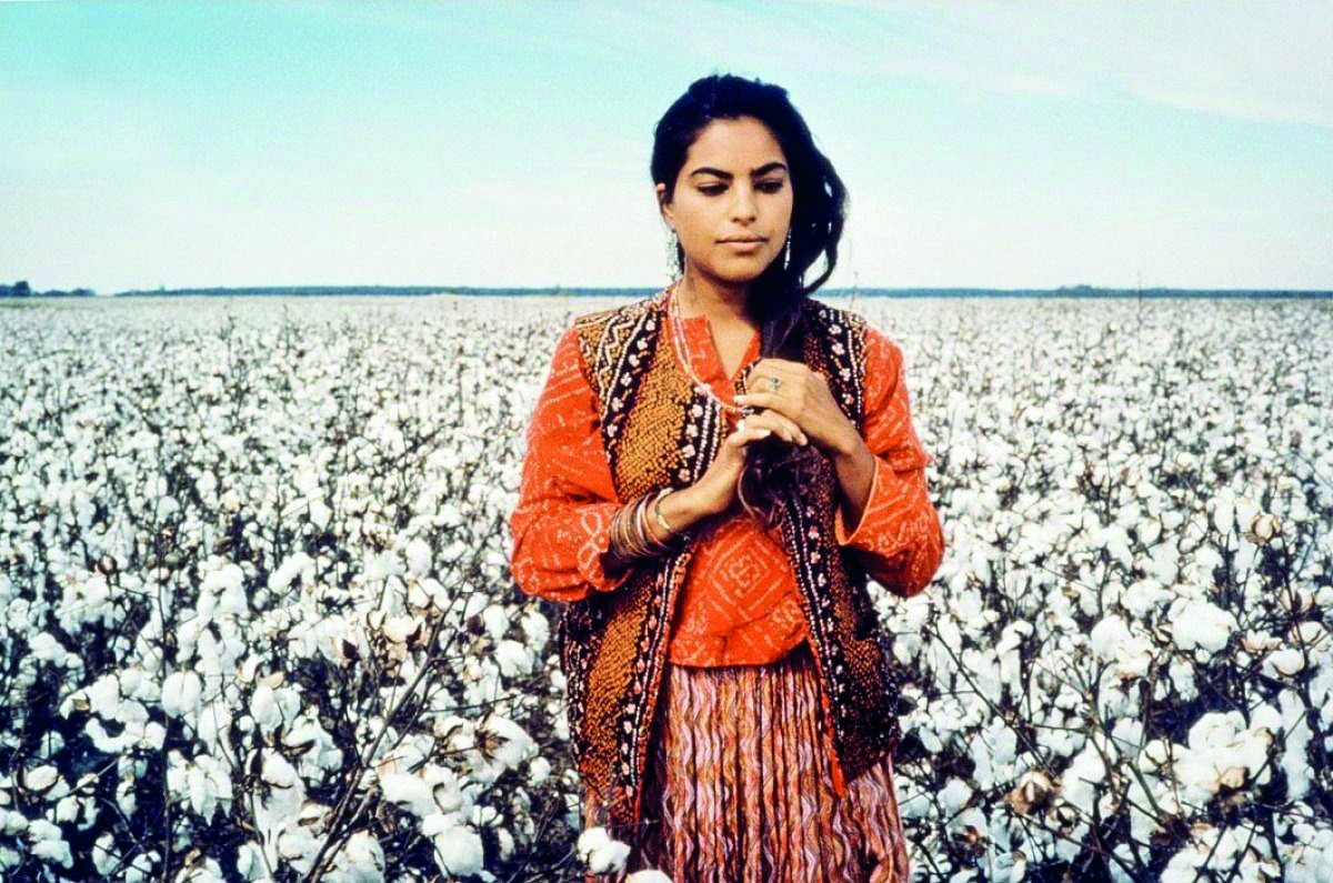 Mississippi Masala