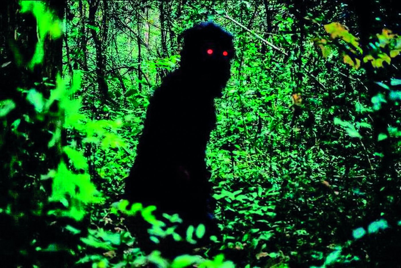 Oncle Boonmee, celui qui se souvient de ses vies antérieures