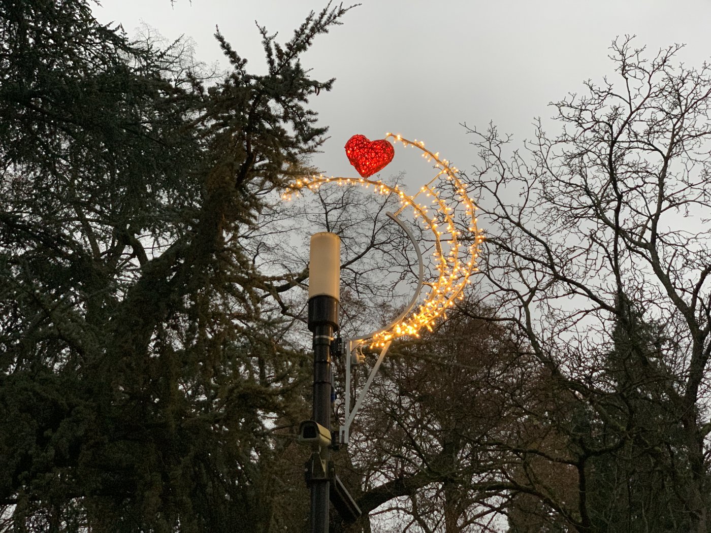Winterlights 2021 - Illuminations