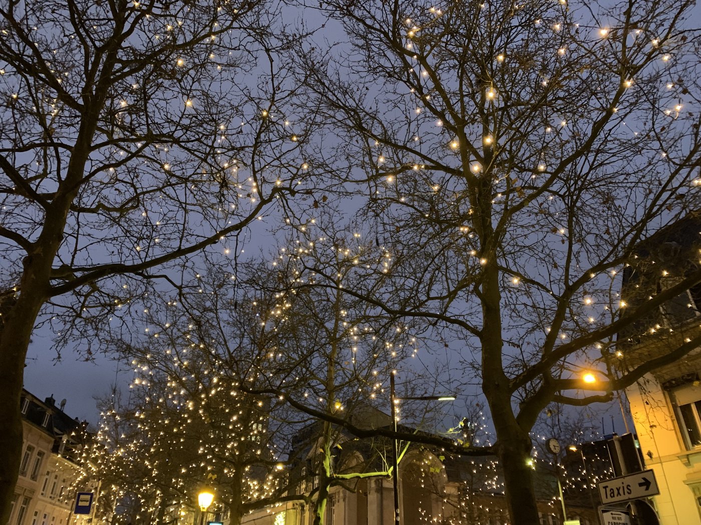 Winterlights 2021 - Illuminations