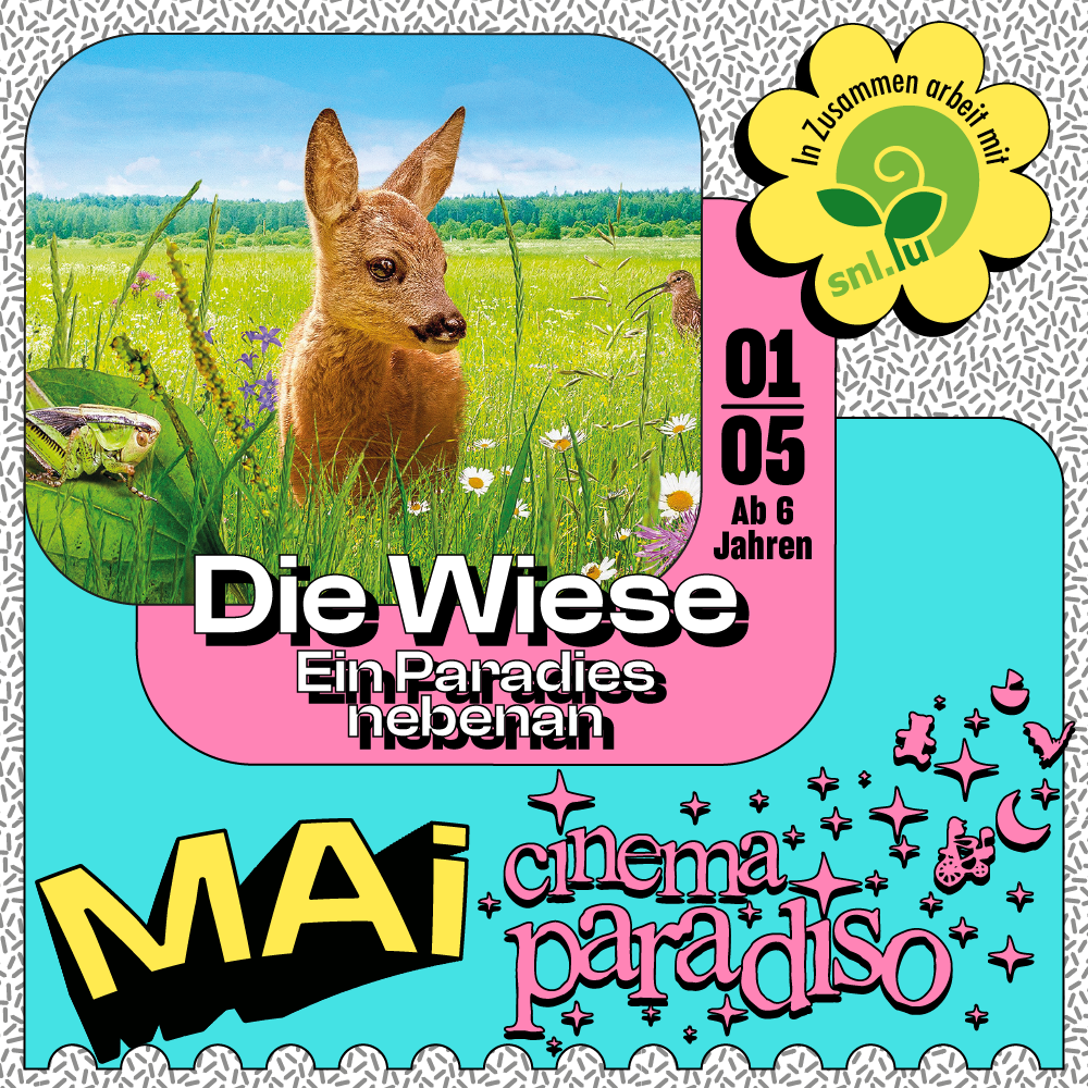 Die Wiese – Ein Paradies nebenan