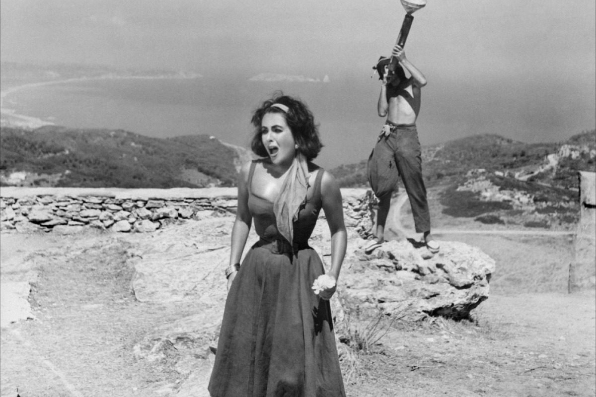 Suddenly, Last Summer