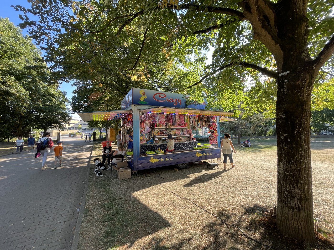 Summer am park 2022