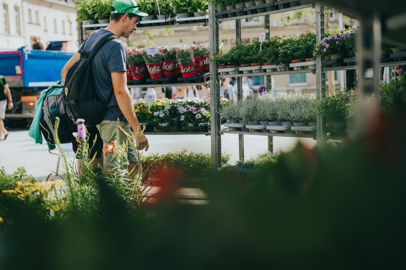 Personne en regardant les plantes