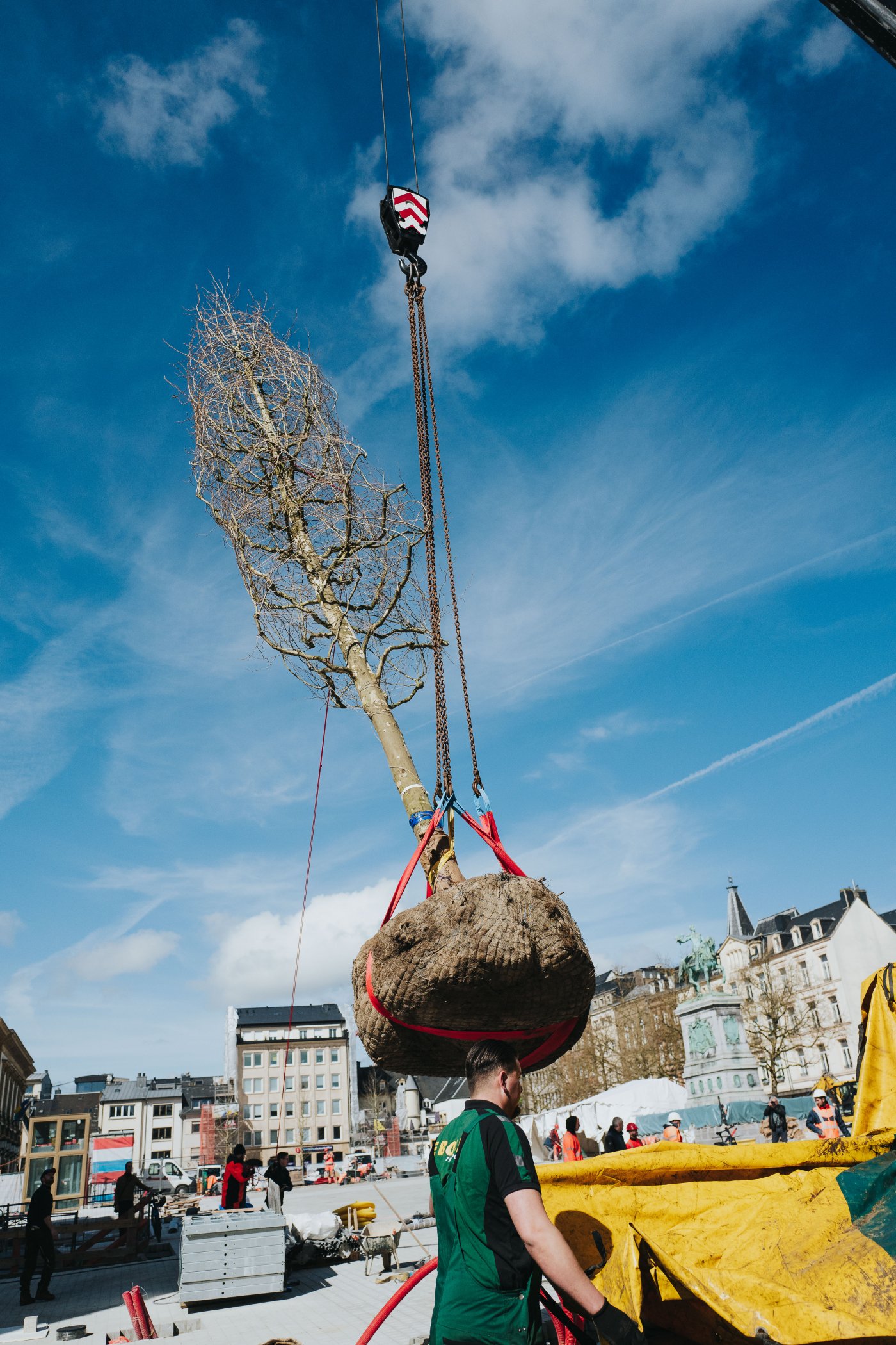 Plantation des arbres à la place Guillaume II