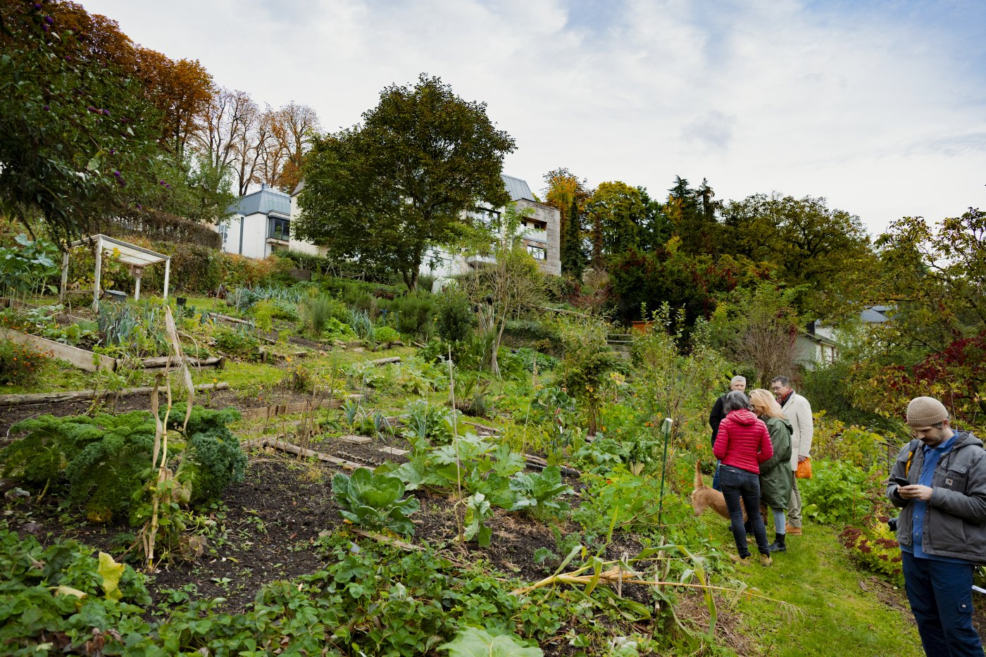 prise de vue du jardin communautaire