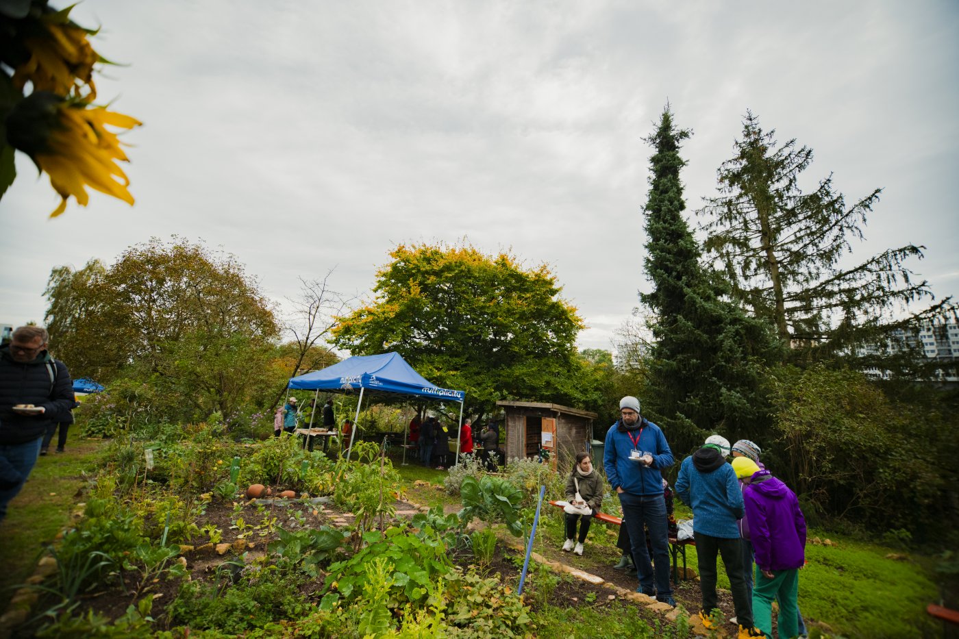 prise de vue du jardin communautaire