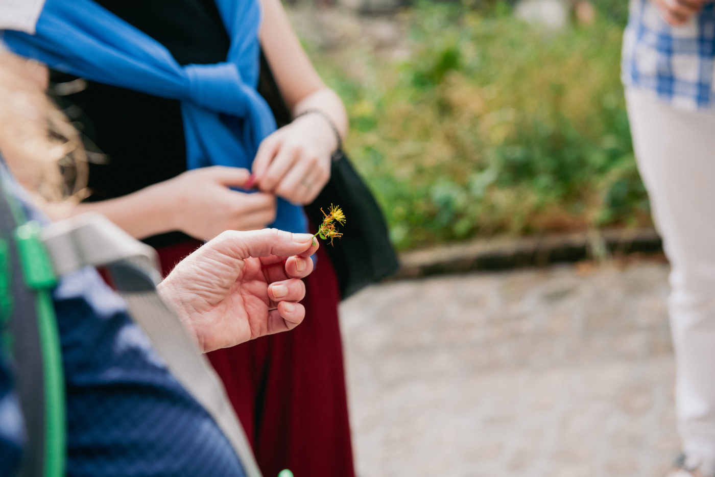 une fleur est montrée pendant la visite