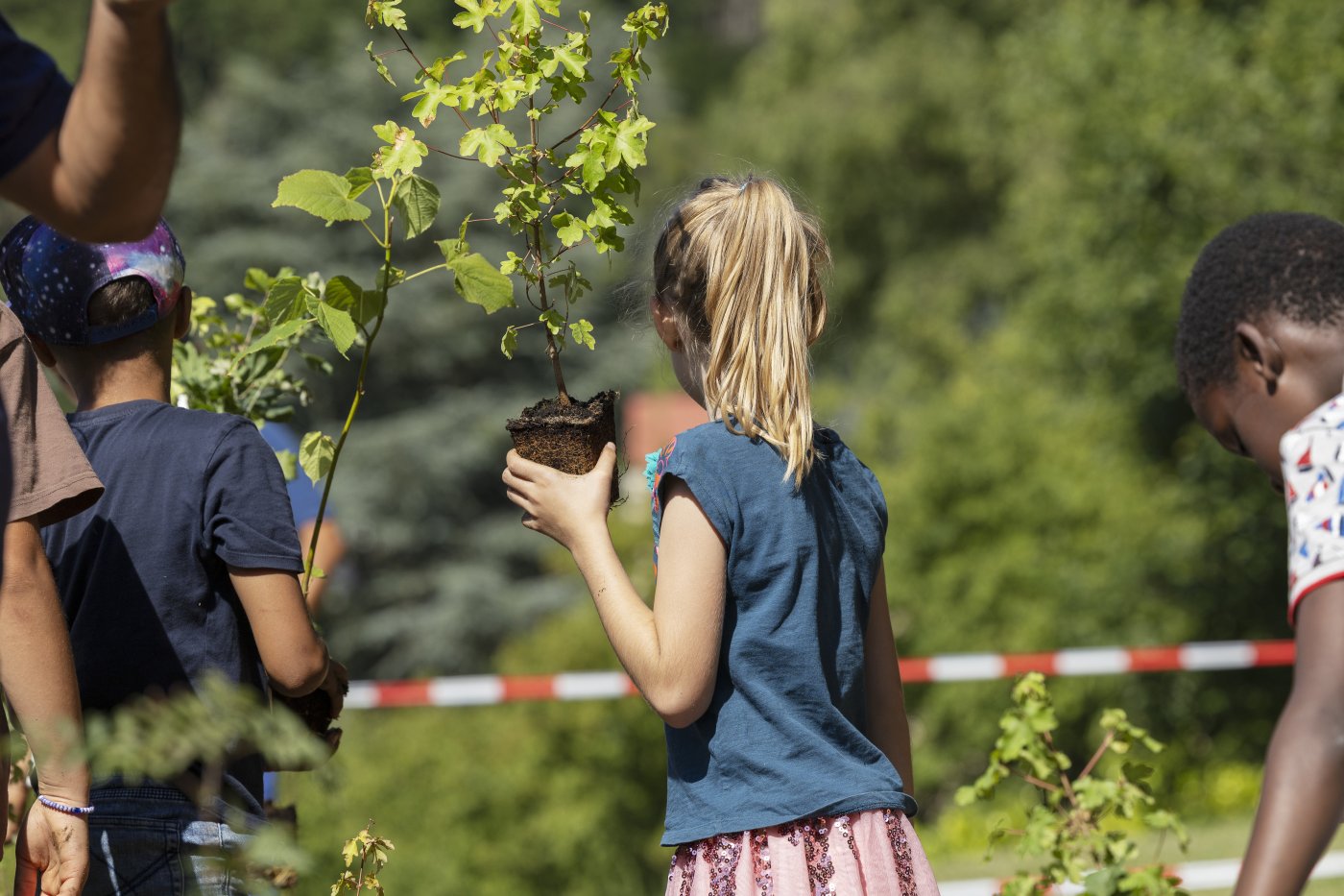 Photos prises pendant la plantation ensemble avec les enfants