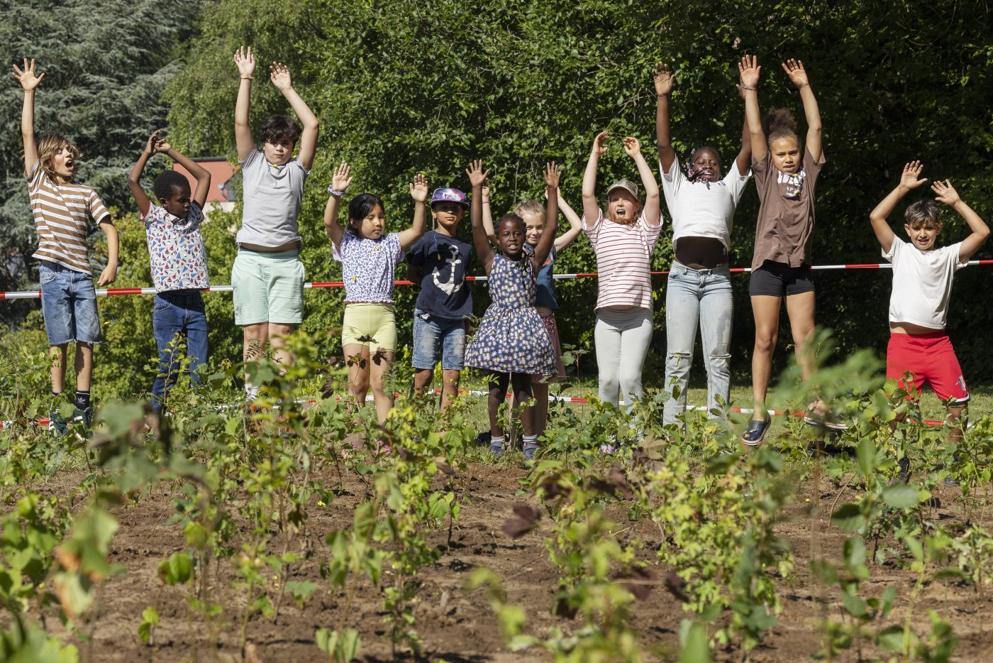 Photos prises pendant la plantation ensemble avec les enfants