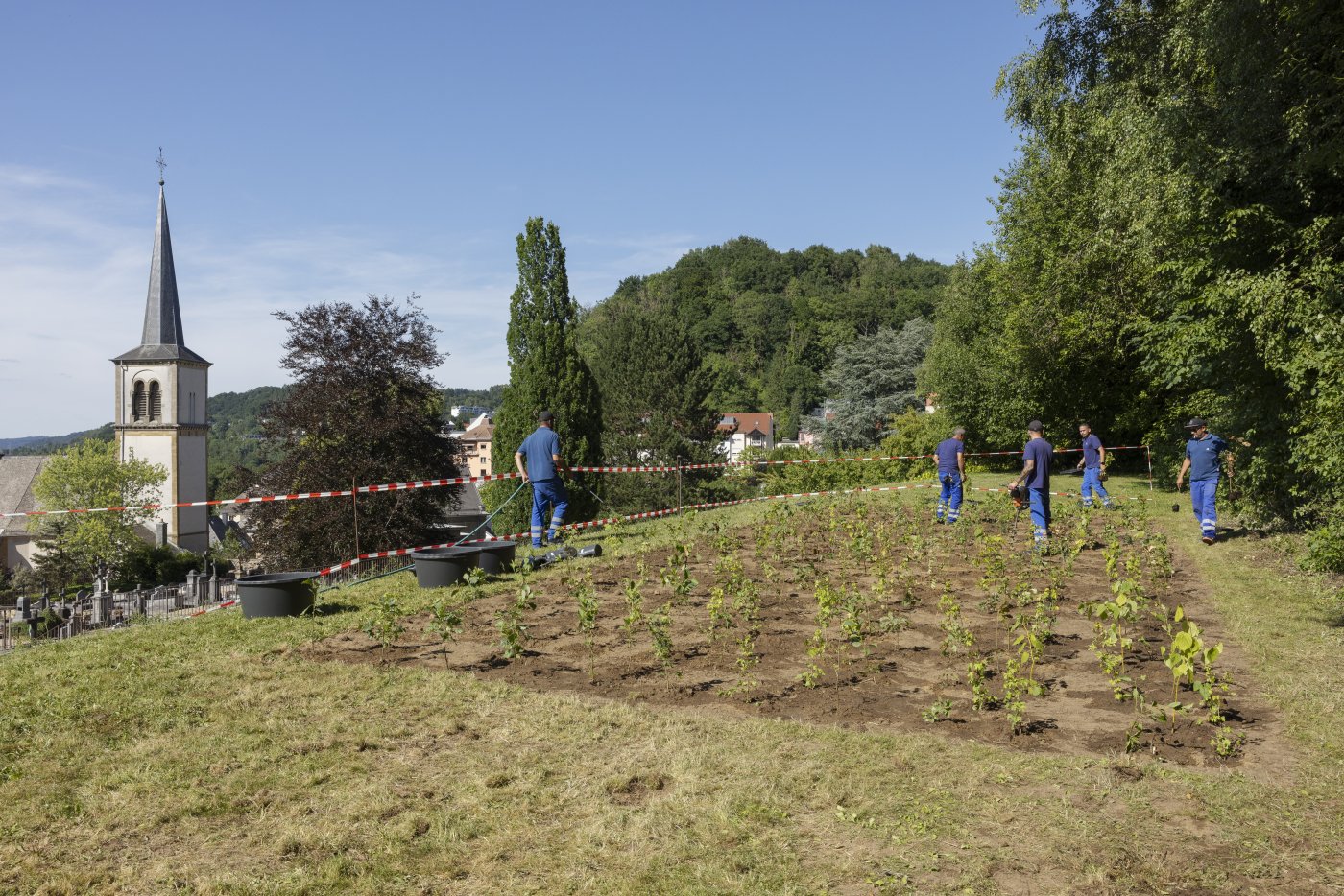 Photos prises pendant la plantation ensemble avec les enfants