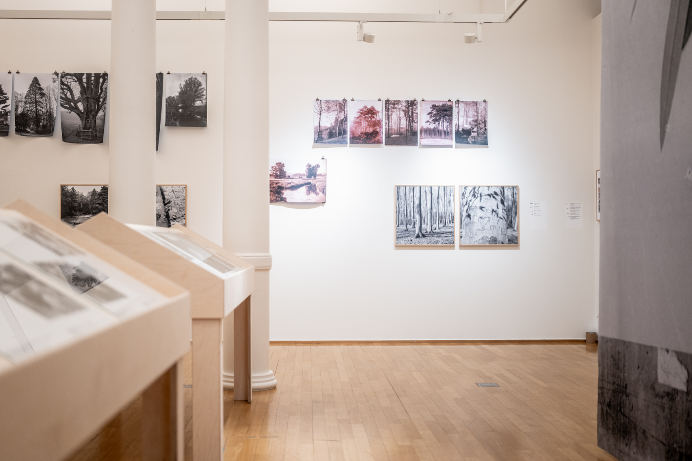 Image de l'intérieur de l'exposition de la photothèque au Cercle Cité