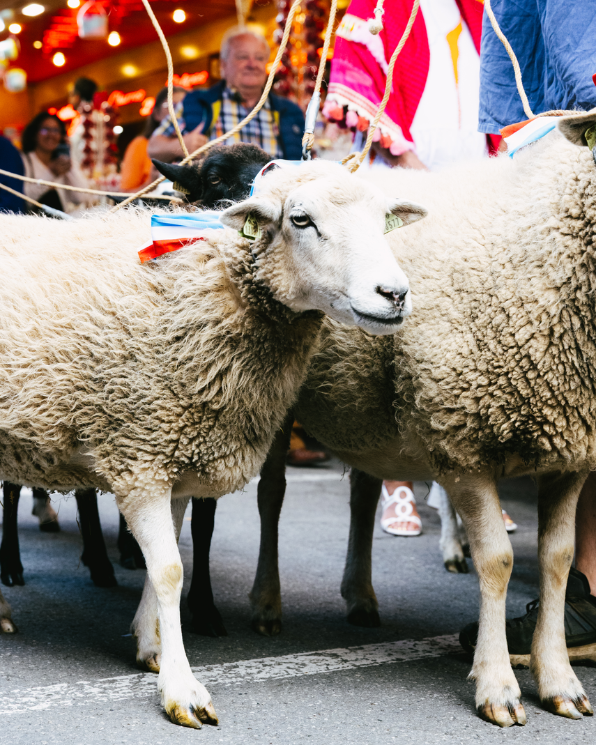 Inauguration de la Schueberfouer 2025