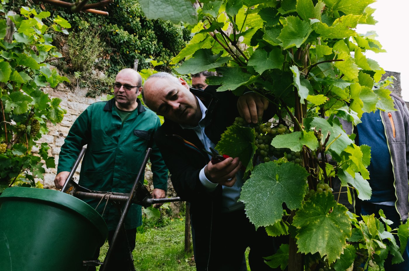 Vendanges au Klouschtergaart