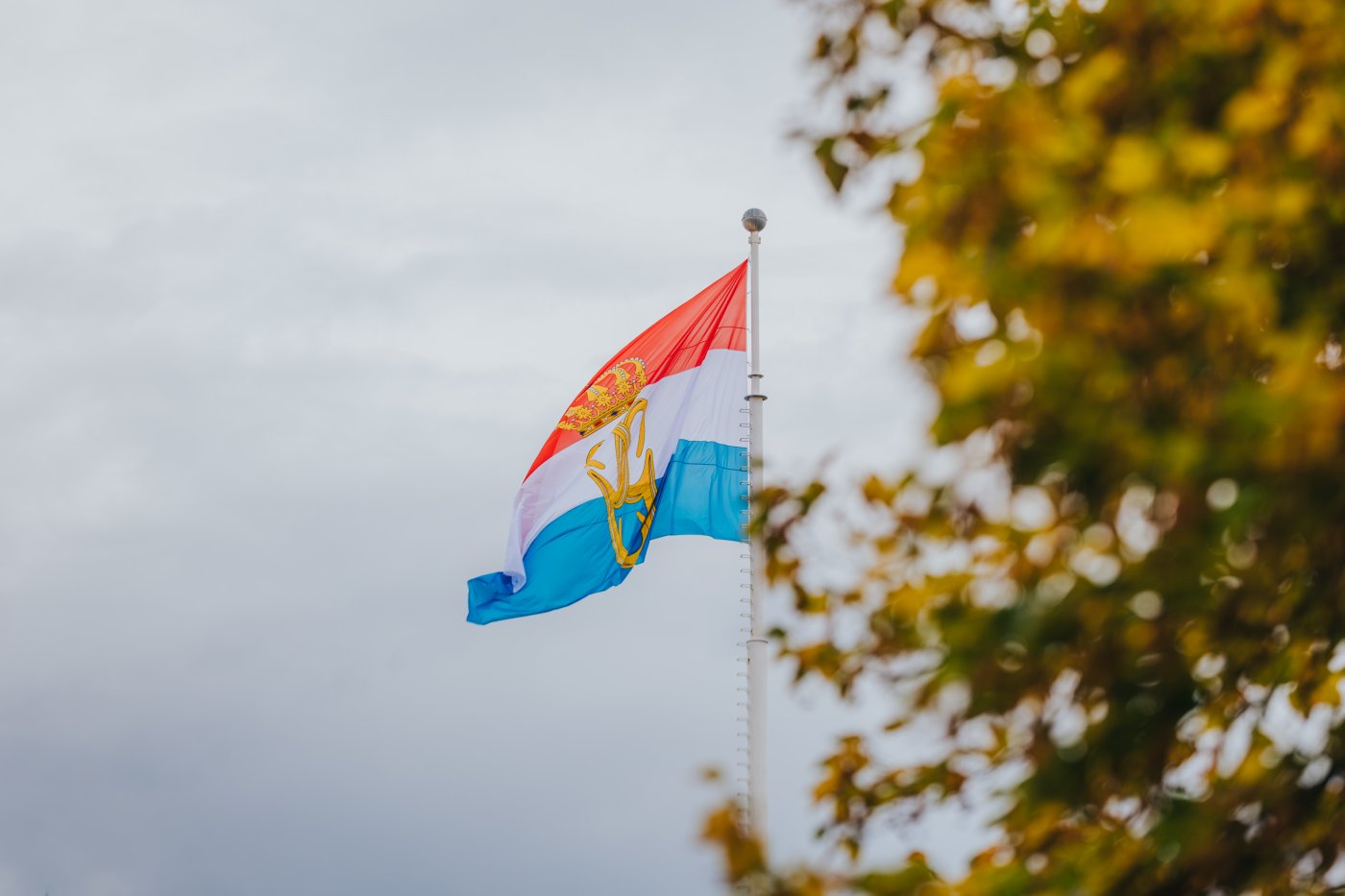 Drapeau monogramme Grand-Duc Guillaume